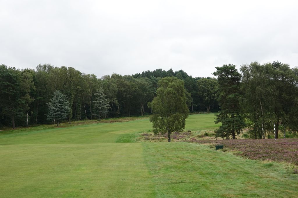 2nd Hole at Walton Heath Golf Club (Old) (461 Yard Par 4)